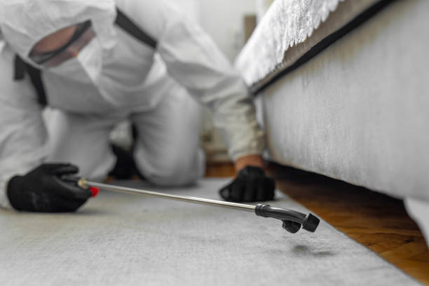 Professional Bed Bug Control technician working in Waukesha, WI