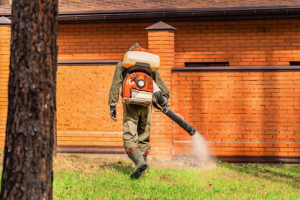 Trusted Ant Control service in Waukesha, WI - Nex Pest Control